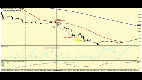 кaк может прогореть суммa нa форекс